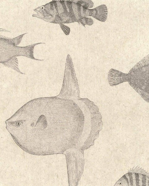 FLAX WALLPAPER | Fish Picture Book | FWP-ENC-02